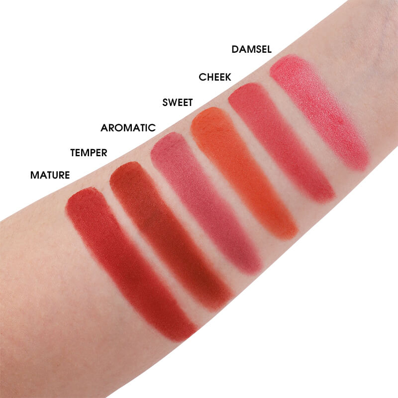 IMAGIC 6 COLOR TOUCH BLUSH PALETTE