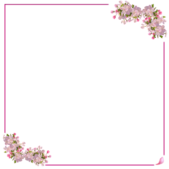 product-frame1